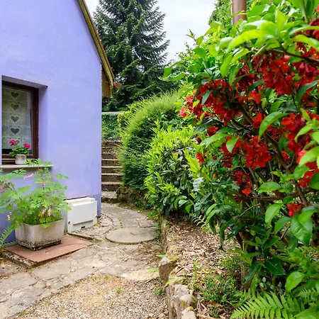 Apartamento Les Sapins Bleus - Kaysersberg-Vignoble
